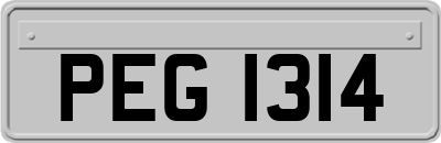 PEG1314