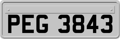 PEG3843