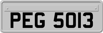 PEG5013