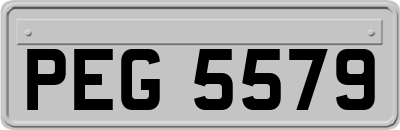 PEG5579