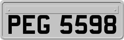 PEG5598