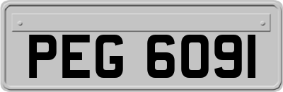 PEG6091