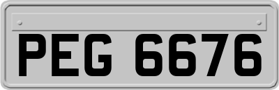 PEG6676