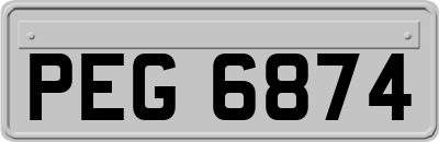 PEG6874