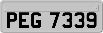 PEG7339