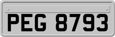 PEG8793