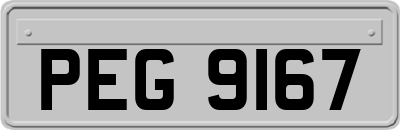 PEG9167