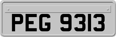 PEG9313
