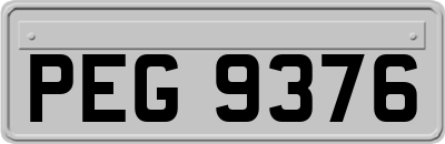 PEG9376