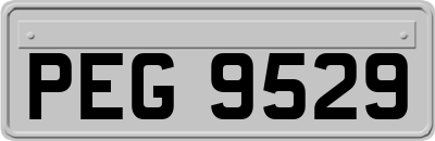 PEG9529