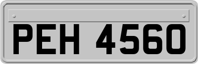 PEH4560