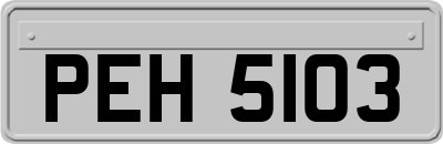 PEH5103
