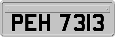 PEH7313