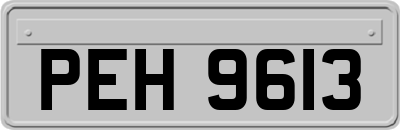 PEH9613