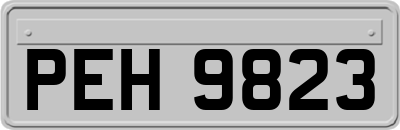 PEH9823