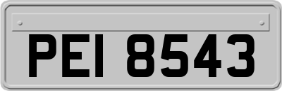 PEI8543