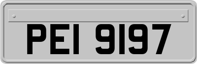 PEI9197