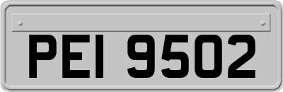 PEI9502