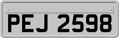 PEJ2598