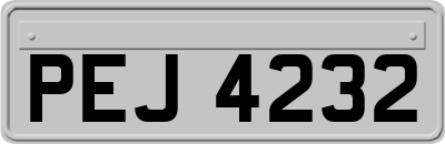 PEJ4232