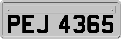 PEJ4365