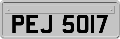 PEJ5017