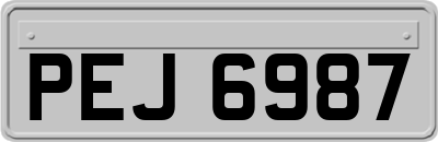 PEJ6987