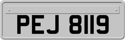 PEJ8119
