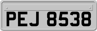 PEJ8538
