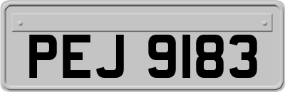 PEJ9183