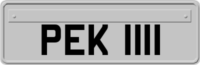 PEK1111
