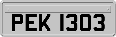 PEK1303