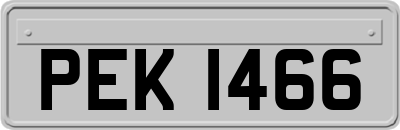 PEK1466