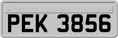 PEK3856