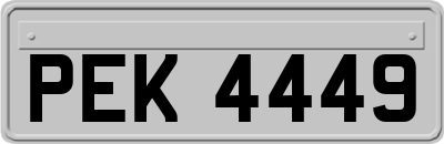 PEK4449