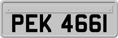 PEK4661