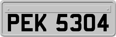 PEK5304