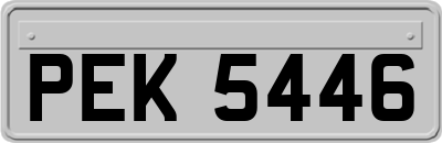 PEK5446