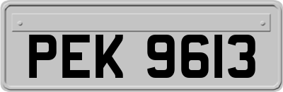 PEK9613