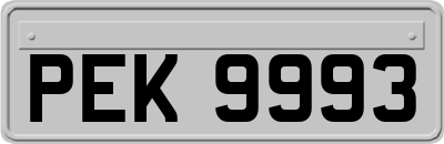 PEK9993
