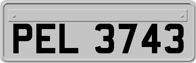 PEL3743