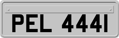 PEL4441