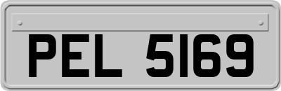PEL5169