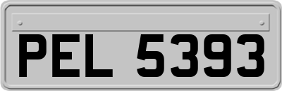 PEL5393