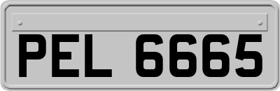 PEL6665
