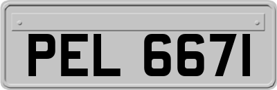 PEL6671