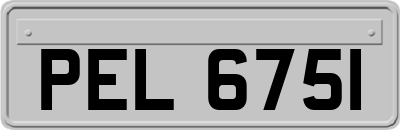 PEL6751