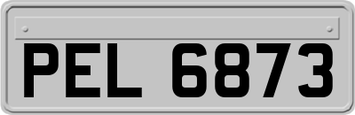 PEL6873