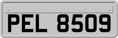 PEL8509