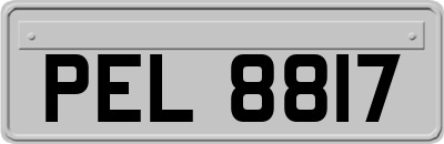 PEL8817